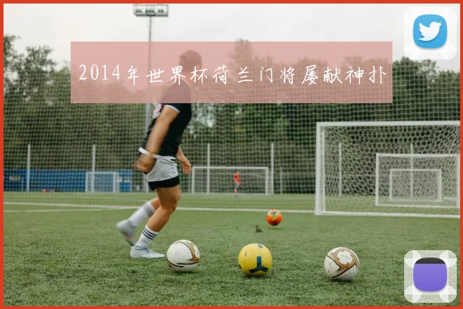 2014年世界杯荷兰门将屡献神扑