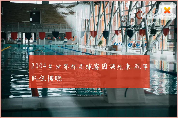 2004年世界杯足球赛圆满结束 冠军队伍揭晓