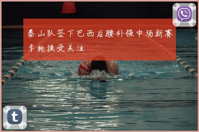 泰山队签下巴西后腰补强中场新赛季轮换受关注