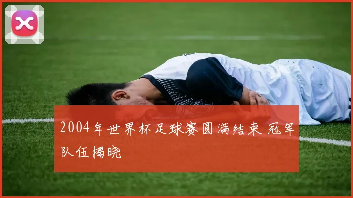 2004年世界杯足球赛圆满结束 冠军队伍揭晓