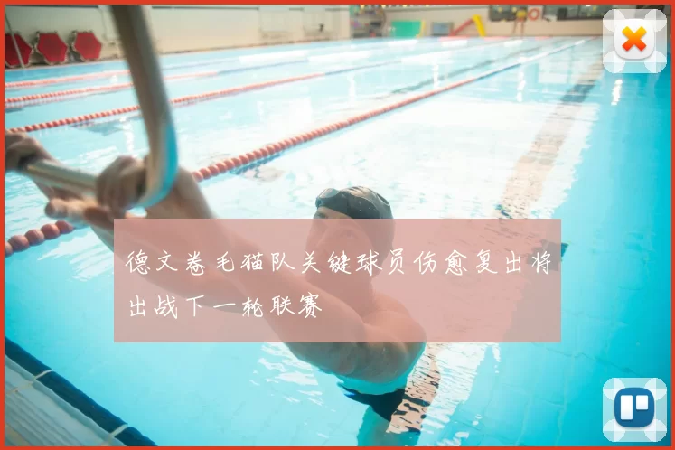 德文卷毛猫队关键球员伤愈复出将出战下一轮联赛