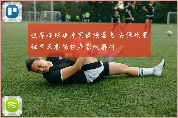 世界杯球迷冲突视频曝光 安保处置细节及赛场秩序影响解析