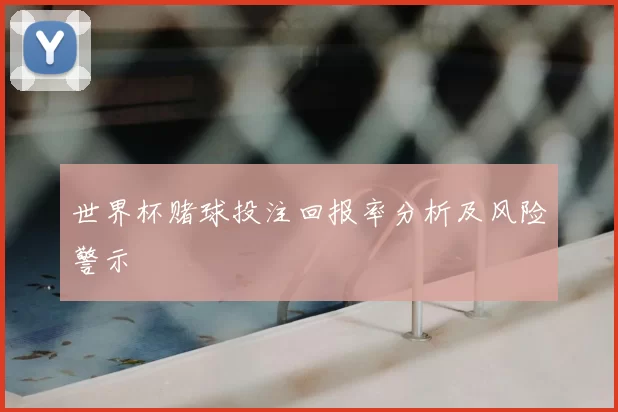 世界杯赌球投注回报率分析及风险警示