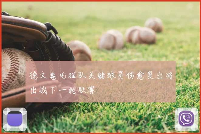 德文卷毛猫队关键球员伤愈复出将出战下一轮联赛