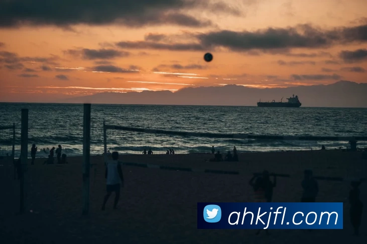 半岛官网在线登陆平台生态图